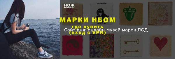 прущие грибы Михайлов