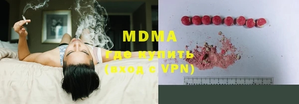 прущие грибы Михайлов
