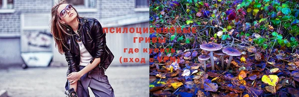 a pvp Медвежьегорск