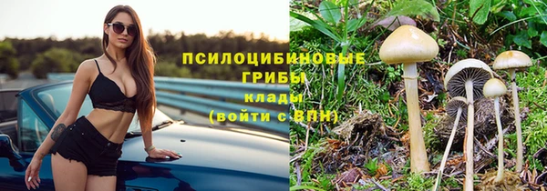 Альфа ПВП Медногорск