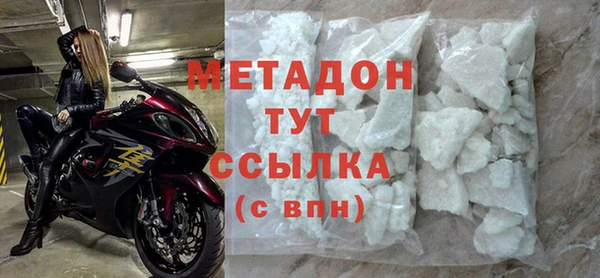 прущие грибы Михайлов