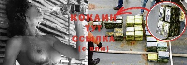 прущие грибы Михайлов