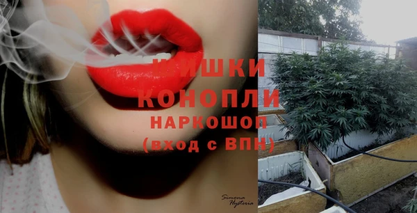 прущие грибы Михайлов