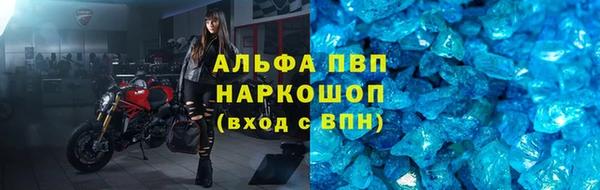 прущие грибы Михайлов