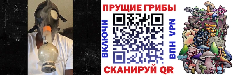 купить   Коломна  Галлюциногенные грибы мицелий 