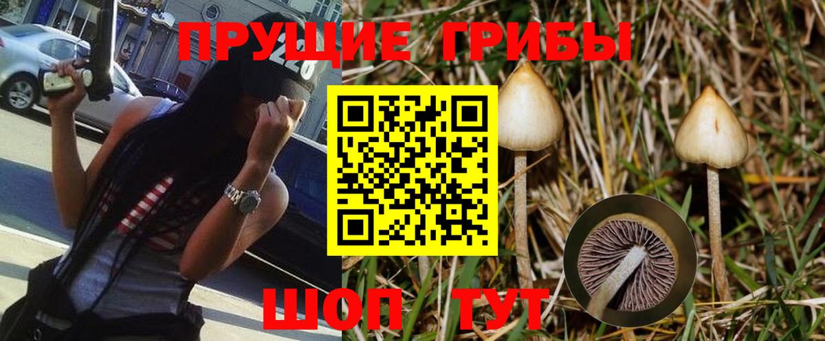 Псилоцибиновые грибы GOLDEN TEACHER  Псилоцибиновые грибы Psilocybine cubensis  Вход с VPN  Коломна 