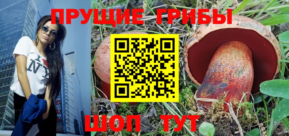 Псилоцибиновые грибы прущие грибы  Коломна  купить наркотики цена  Галлюциногенные грибы Cubensis 